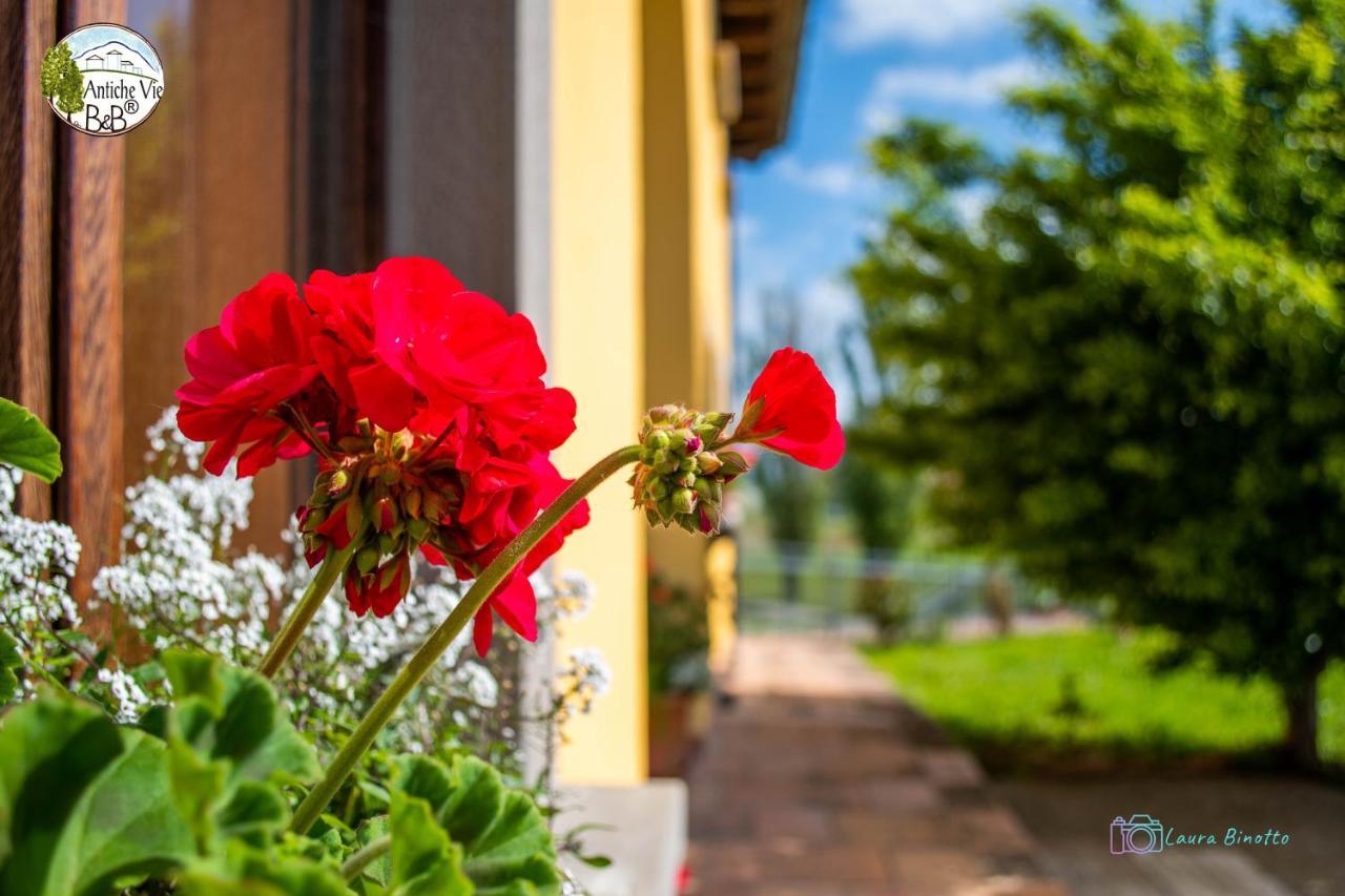 Antiche Vie B&B Serramazzoni ภายนอก รูปภาพ