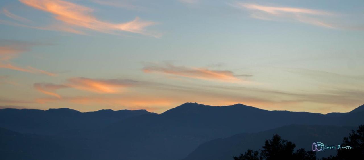 Antiche Vie B&B Serramazzoni ภายนอก รูปภาพ