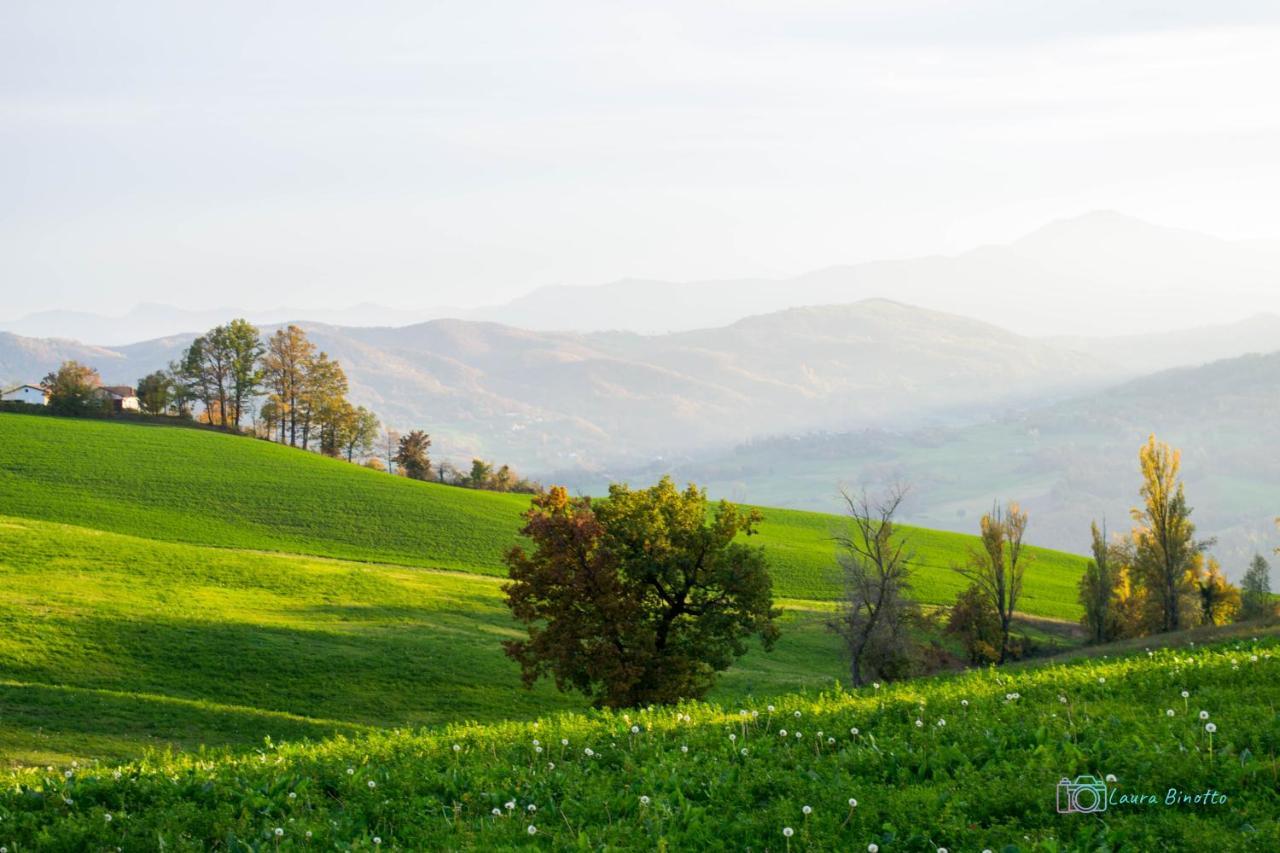 Antiche Vie B&B Serramazzoni ภายนอก รูปภาพ